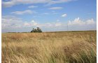 Property photo 20 - LAND AUCTION, 3255+/- Acres offered in 13 Tracts